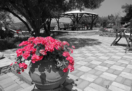 Villa Hacienta - Ammouliani