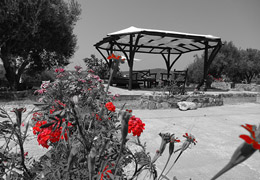 Villa Hacienta - Ammouliani